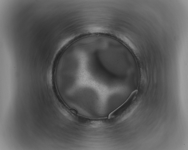 X0000111890391200908061338