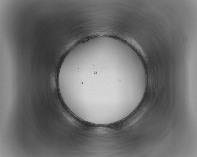 X0000111890393200908061338