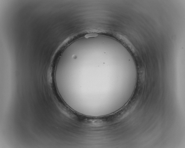 X0000111890395200908061338