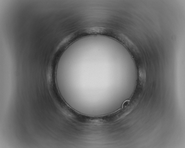 X0000111890396200908061338