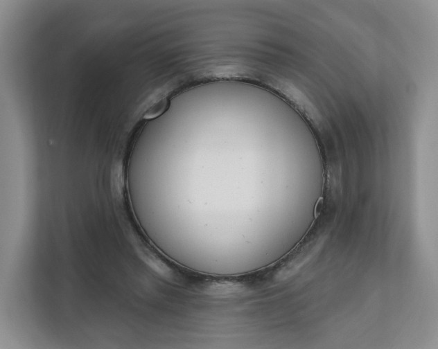 X0000111890397200908061338