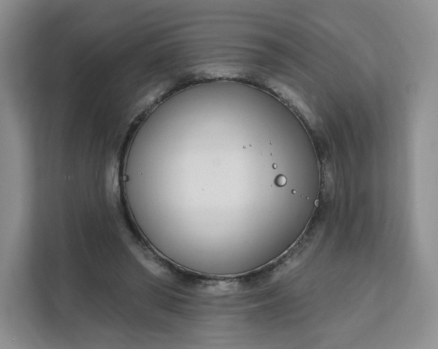 X0000111890398200908061338