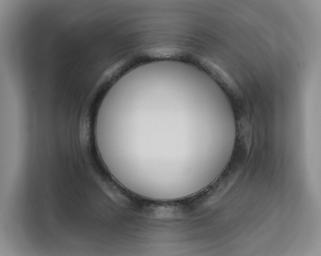 X0000111890400200908061338