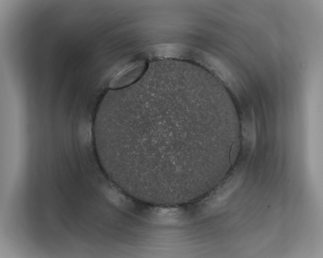 X0000111890401200908061338