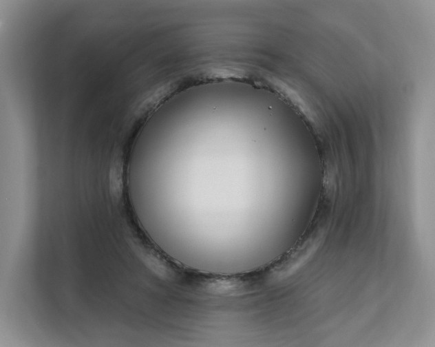 X0000111890402200908061338