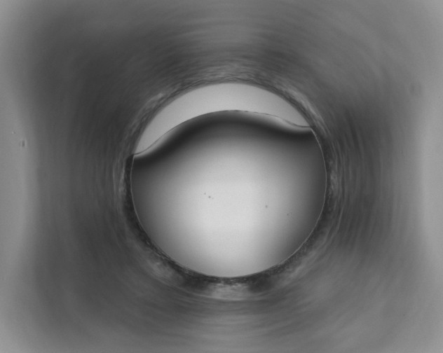 X0000111890403200908061338