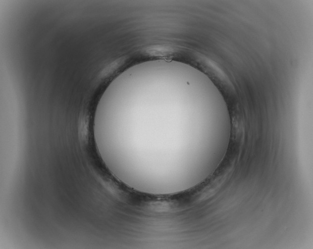 X0000111890404200908061338