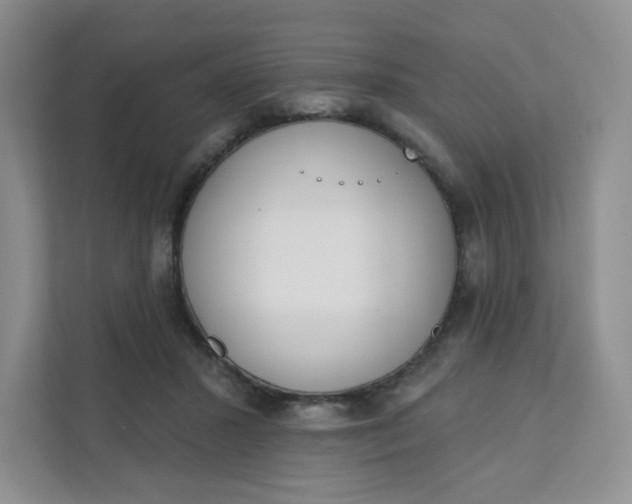 X0000111890407200908061338