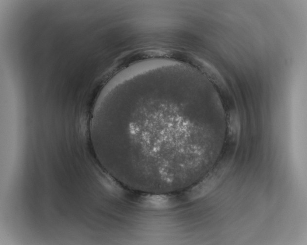 X0000111890409200908061338