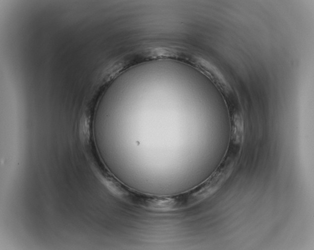 X0000111890410200908061338