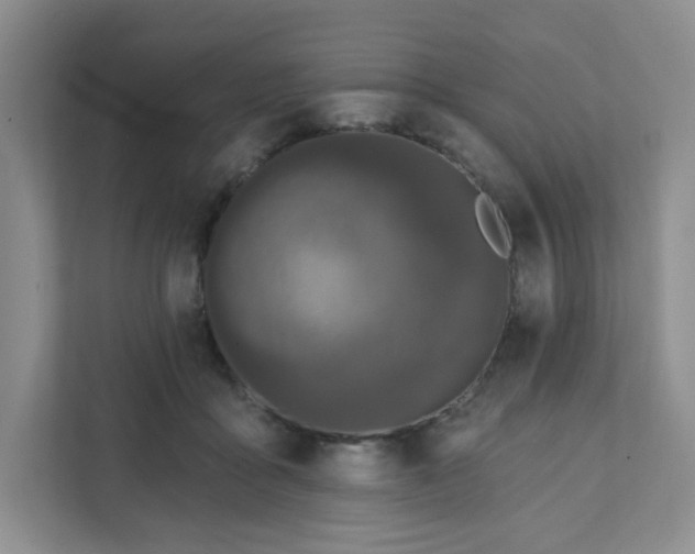 X0000111890411200908061338