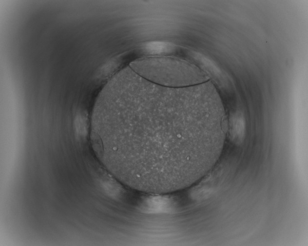 X0000111890413200908061338