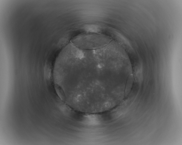 X0000111890417200908061338