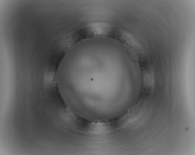 X0000111890419200908061338