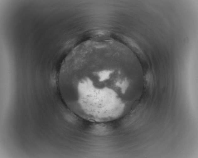 X0000111890423200908061338