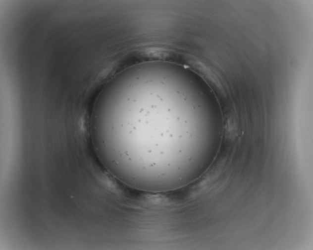 X0000111890424200908061338