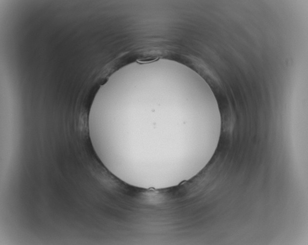 X0000111890425200908061338