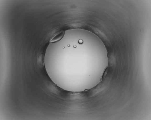 X0000111890428200908061338