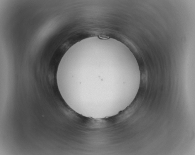 X0000111890429200908061337