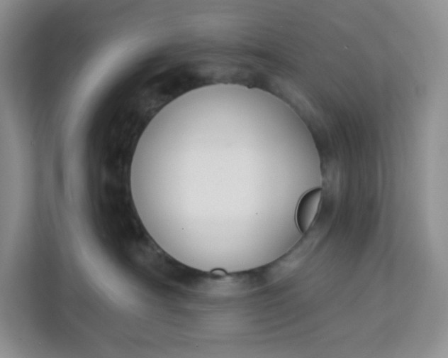 X0000111890430200908061337