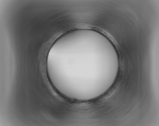 X0000111890433200908061337