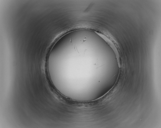 X0000111890434200908061337