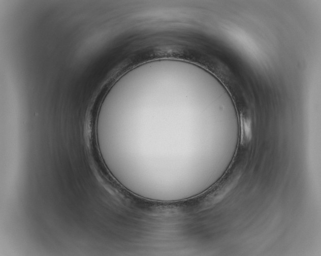 X0000111890435200908061337