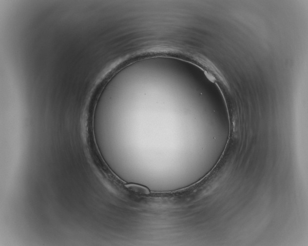 X0000111890436200908061337