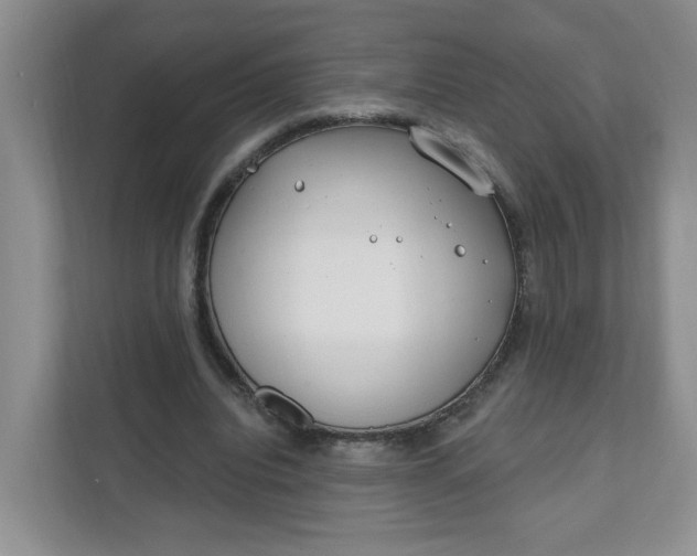 X0000111890440200908061337