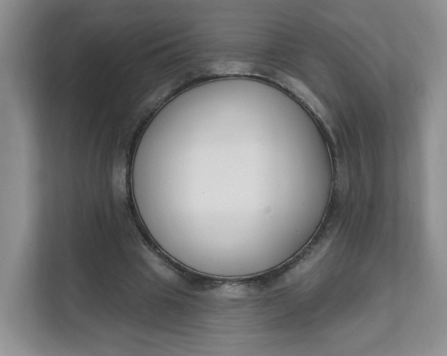 X0000111890441200908061337