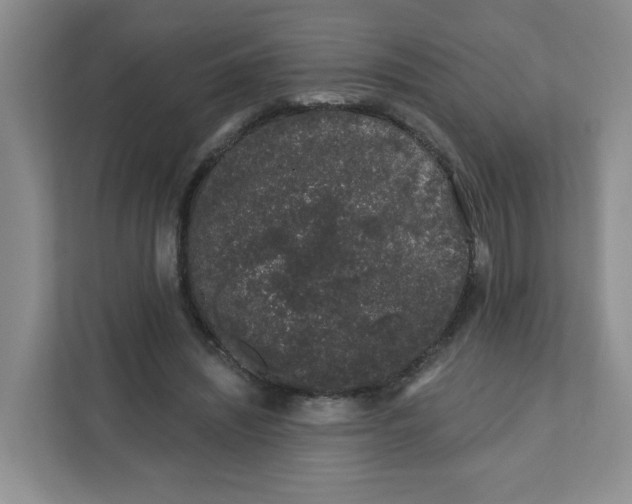 X0000111890444200908061337