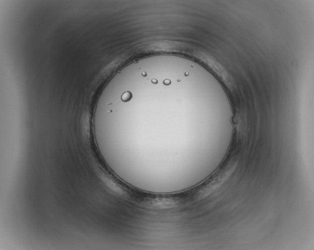 X0000111890445200908061337