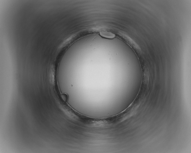 X0000111890446200908061337