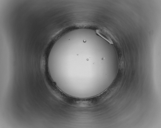 X0000111890448200908061337