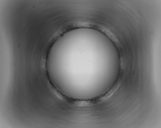 X0000111890449200908061337