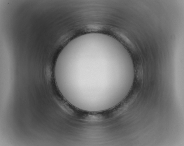 X0000111890455200908061337