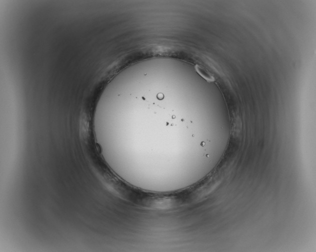 X0000111890456200908061337