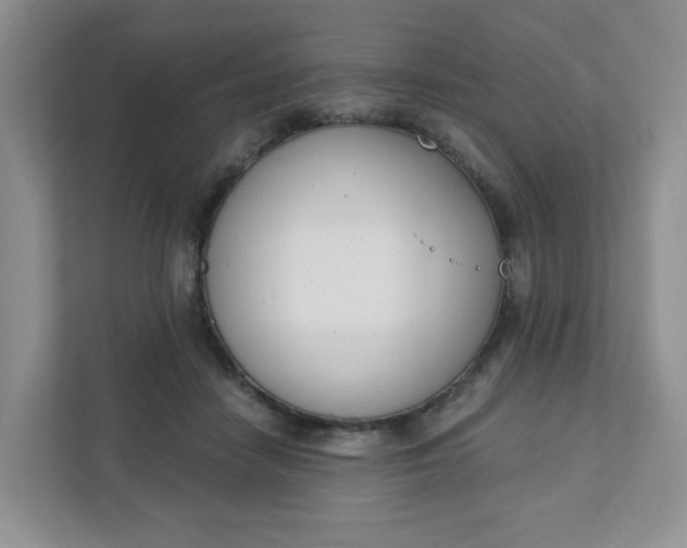 X0000111890458200908061337