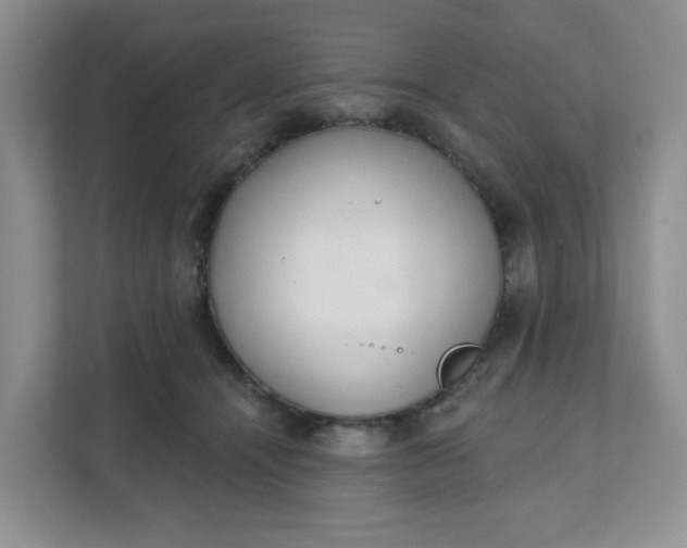 X0000111890464200908061337