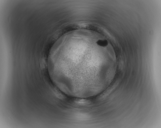 X0000111890467200908061337