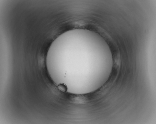 X0000111890468200908061337