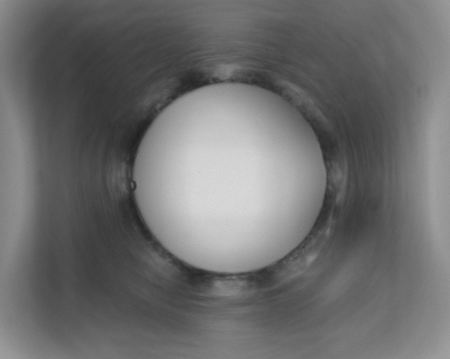 X0000111890470200908061337