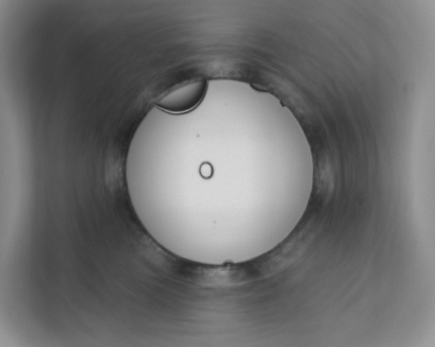 X0000111890473200908061337