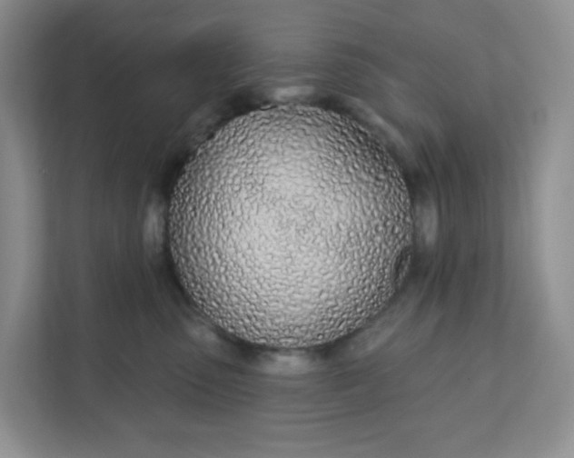 X0000111890475200908061337