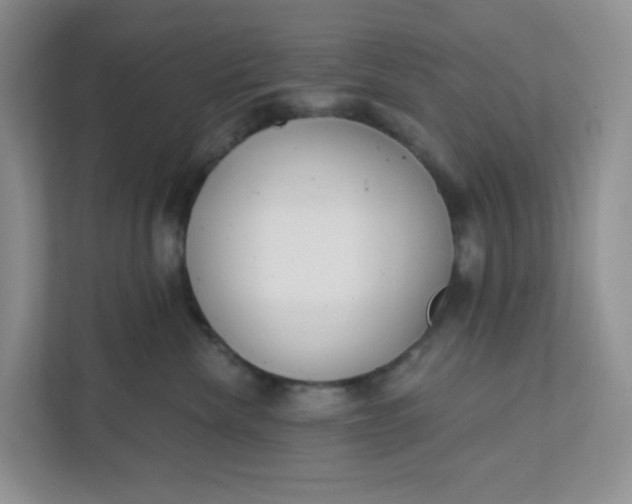 X0000111890476200908061337