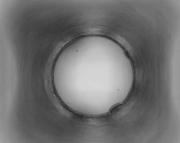 X0000111890481200908061337