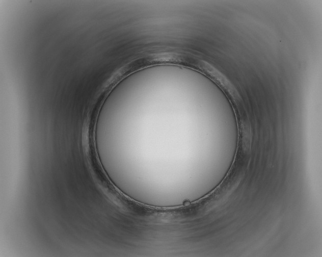 X0000111890482200908061337