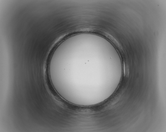 X0000111890483200908061337