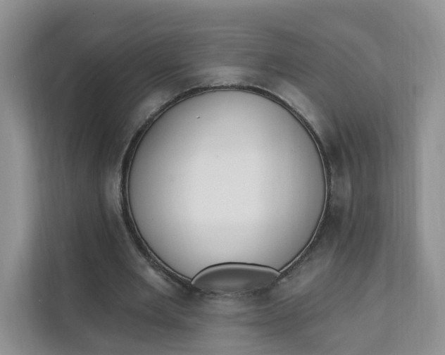 X0000111890485200908061337