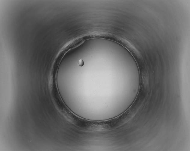 X0000111890488200908061337